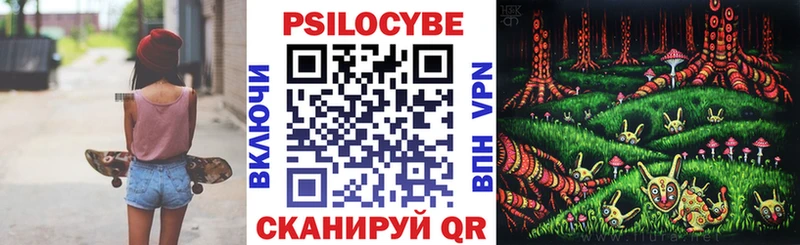 Купить закладки  Кадников  Псилоцибиновые грибы прущие грибы 